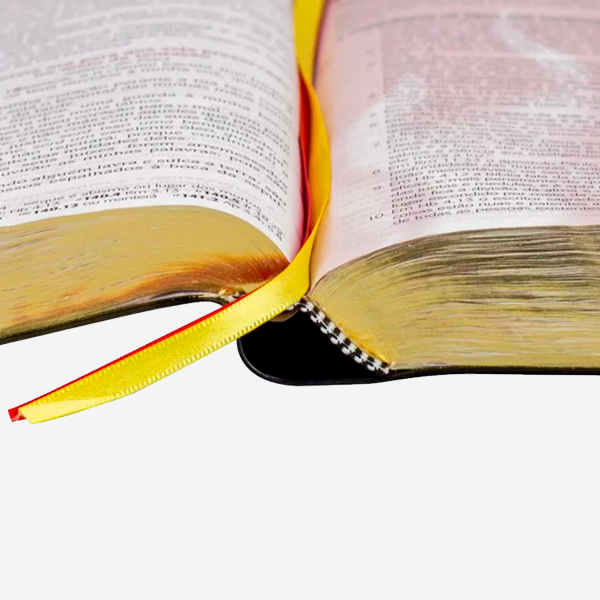 Bíblia do Pregador Pentecostal – Letra Extragigante - Pr. Erivaldo de Jesus