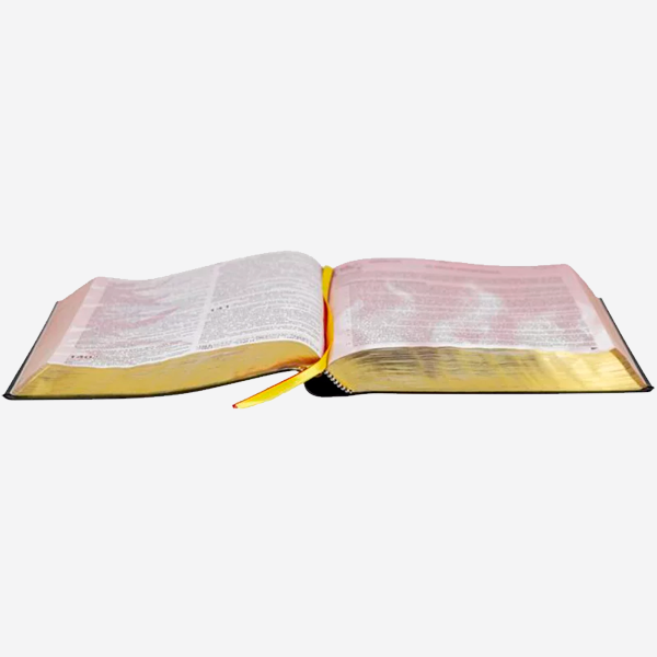 Bíblia do Pregador Pentecostal – Letra Extragigante - Pr. Erivaldo de Jesus