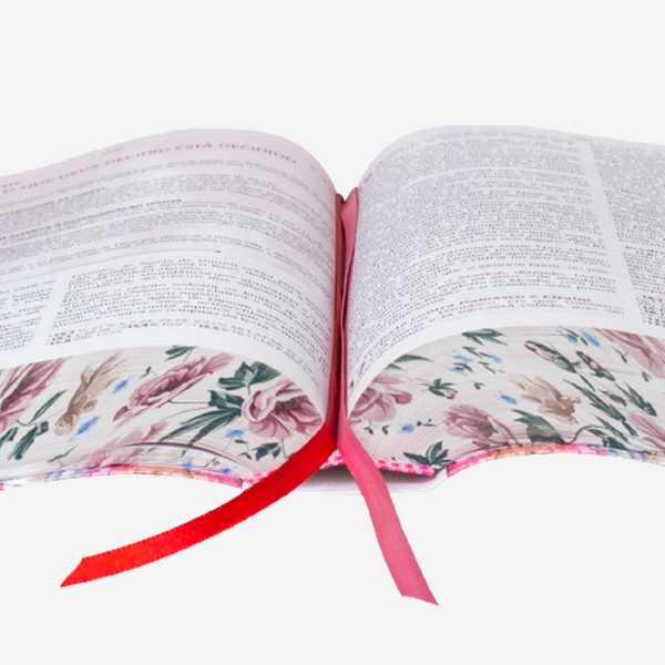 Dupla Unção: Kit Mãe e Filha com Duas Bíblias da Pregadora Pentecostal
