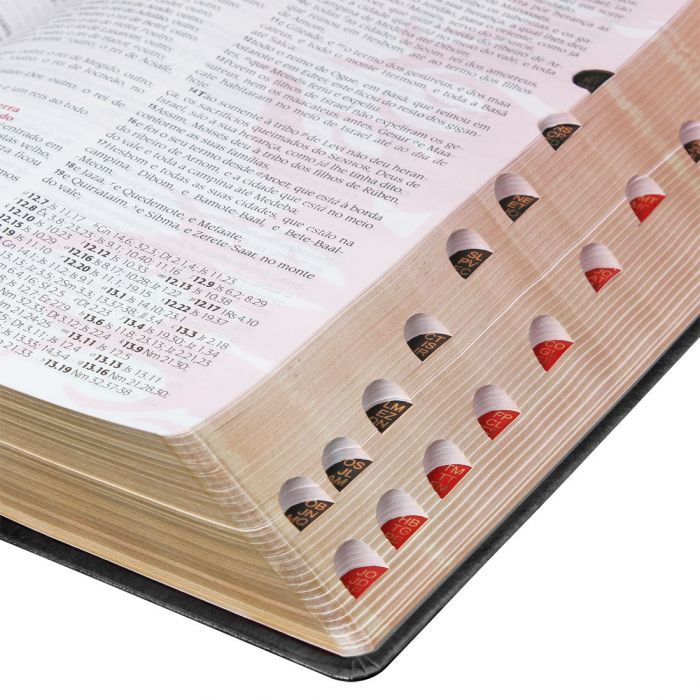 Bíblia do Pregador Pentecostal  (Média) Cor Preto Nobre - Pr. Erivaldo de Jesus