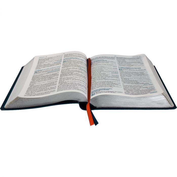 Bíblia do Jovem Pregador Pentecostal - Pr. Erivaldo de Jesus