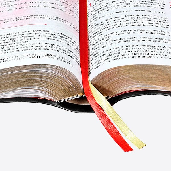 Bíblia do Pregador Pentecostal (ARC) – (Preta) + Livro - Pr. Erivaldo de Jesus - Erivaldo de Jesus - Loja Oficial