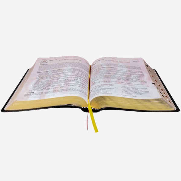 Bíblia do Pregador Pentecostal – Letra Extragigante - Pr. Erivaldo de Jesus - Erivaldo de Jesus - Loja Oficial